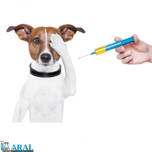 دارو و واکسن های حیوانات خانگی